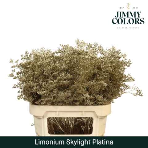 Срезанные цветы оптом Limonium skylight paint platina от 75шт из Голландии с доставкой по России