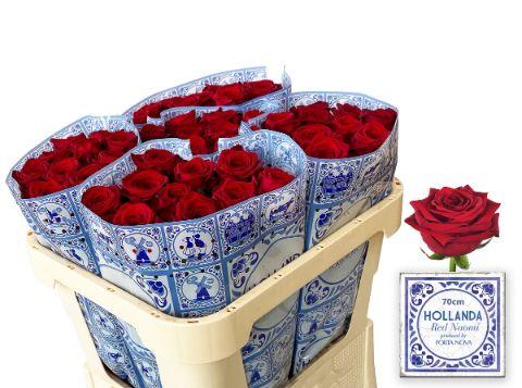 Срезанные цветы оптом Rosa large red naomi! Hollanda от 50шт из Голландии с доставкой по России