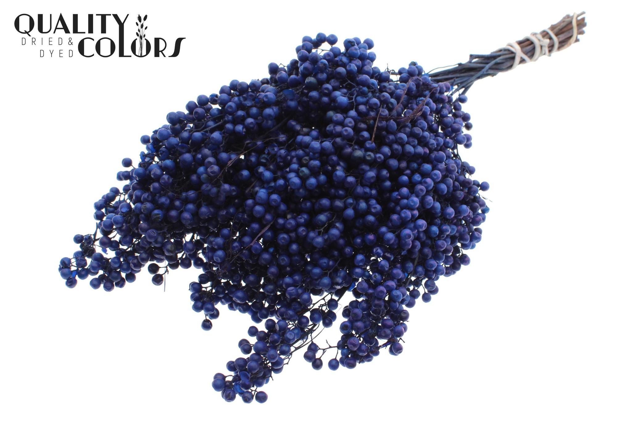 Срезанные цветы оптом Pepperberries per bunch in poly Dark Blue от 5шт из Голландии с доставкой по России