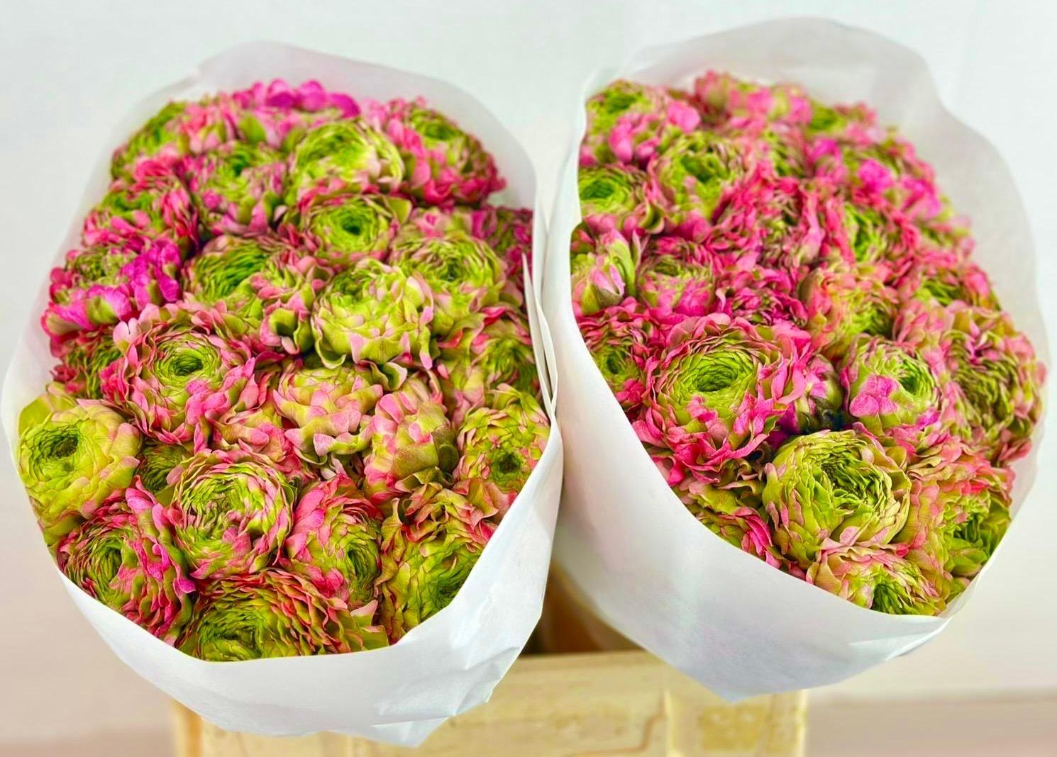 Срезанные цветы оптом Ranunculus pon pon malva от 60шт из Голландии с доставкой по России