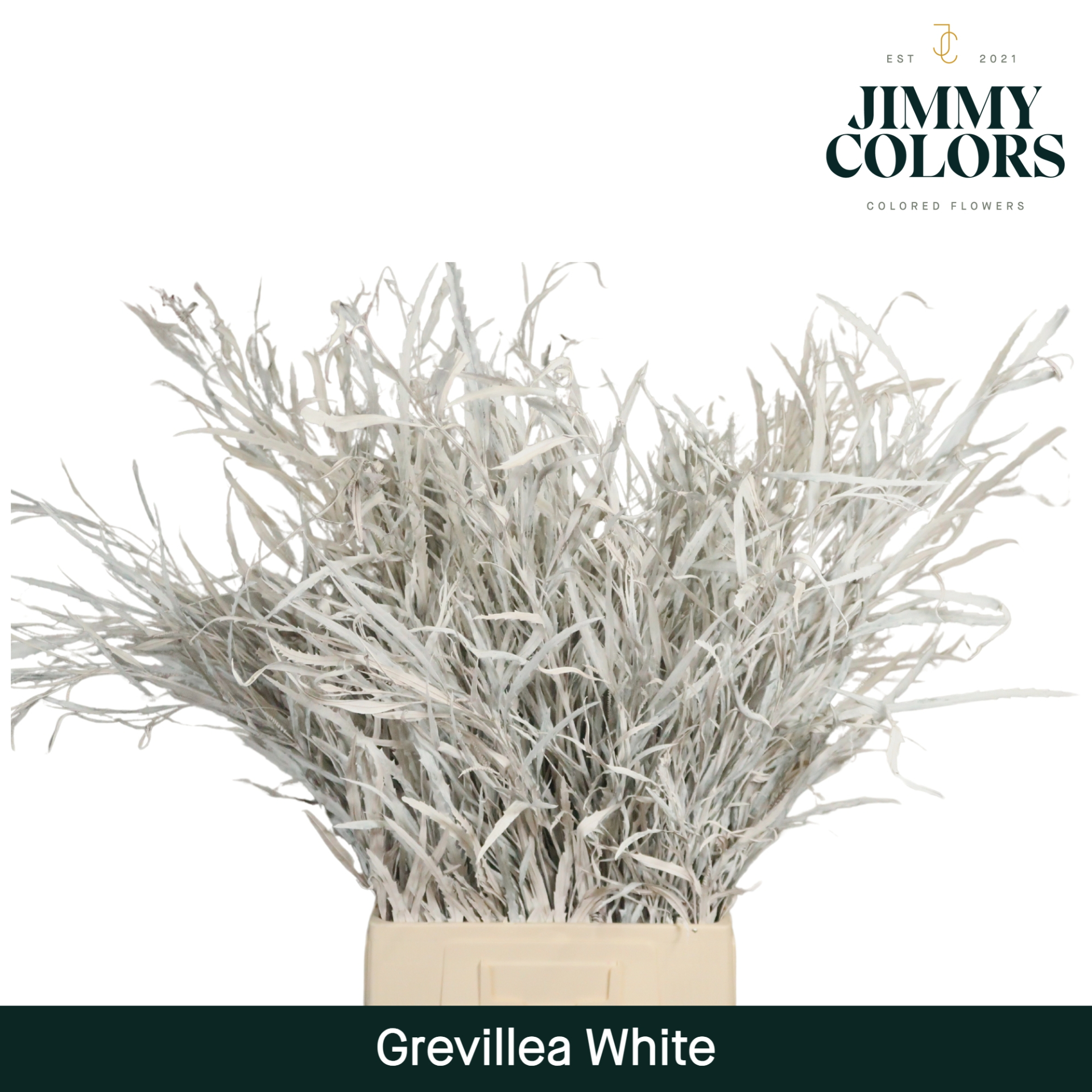 Срезанные цветы оптом Grevillea paint white от 10шт из Голландии с доставкой по России