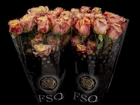 Срезанные цветы оптом Rosa ec wild crown от 40шт из Голландии с доставкой по России