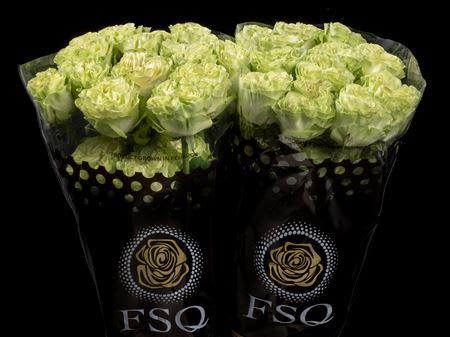 Срезанные цветы оптом Rosa ec exotix mint от 20шт из Голландии с доставкой по России