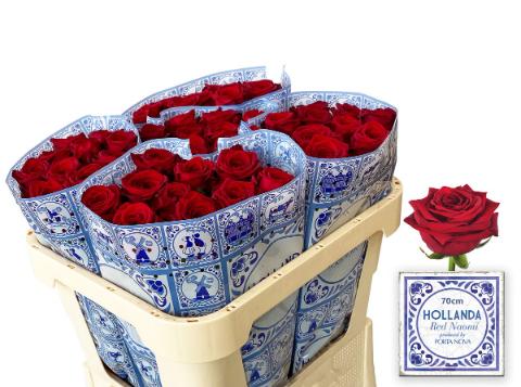 Срезанные цветы оптом Rosa large red naomi! Hollanda от 50шт из Голландии с доставкой по России