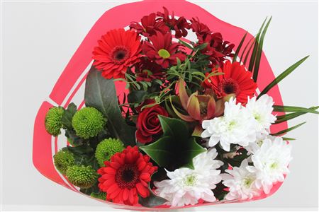 Срезанные цветы оптом Bouquet promo red от 5шт из Голландии с доставкой по России