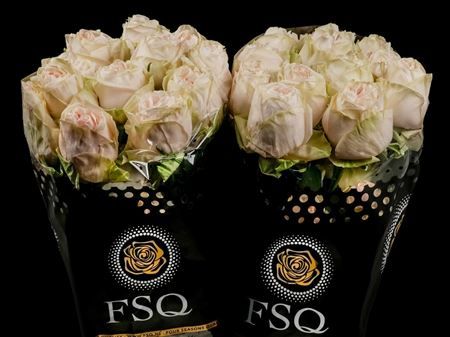 Срезанные цветы оптом Rosa ec wedding rose от 40шт. из Голландии с доставкой по России