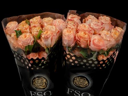 Срезанные цветы оптом Rosa ec princess crown от 20шт. из Голландии с доставкой по России