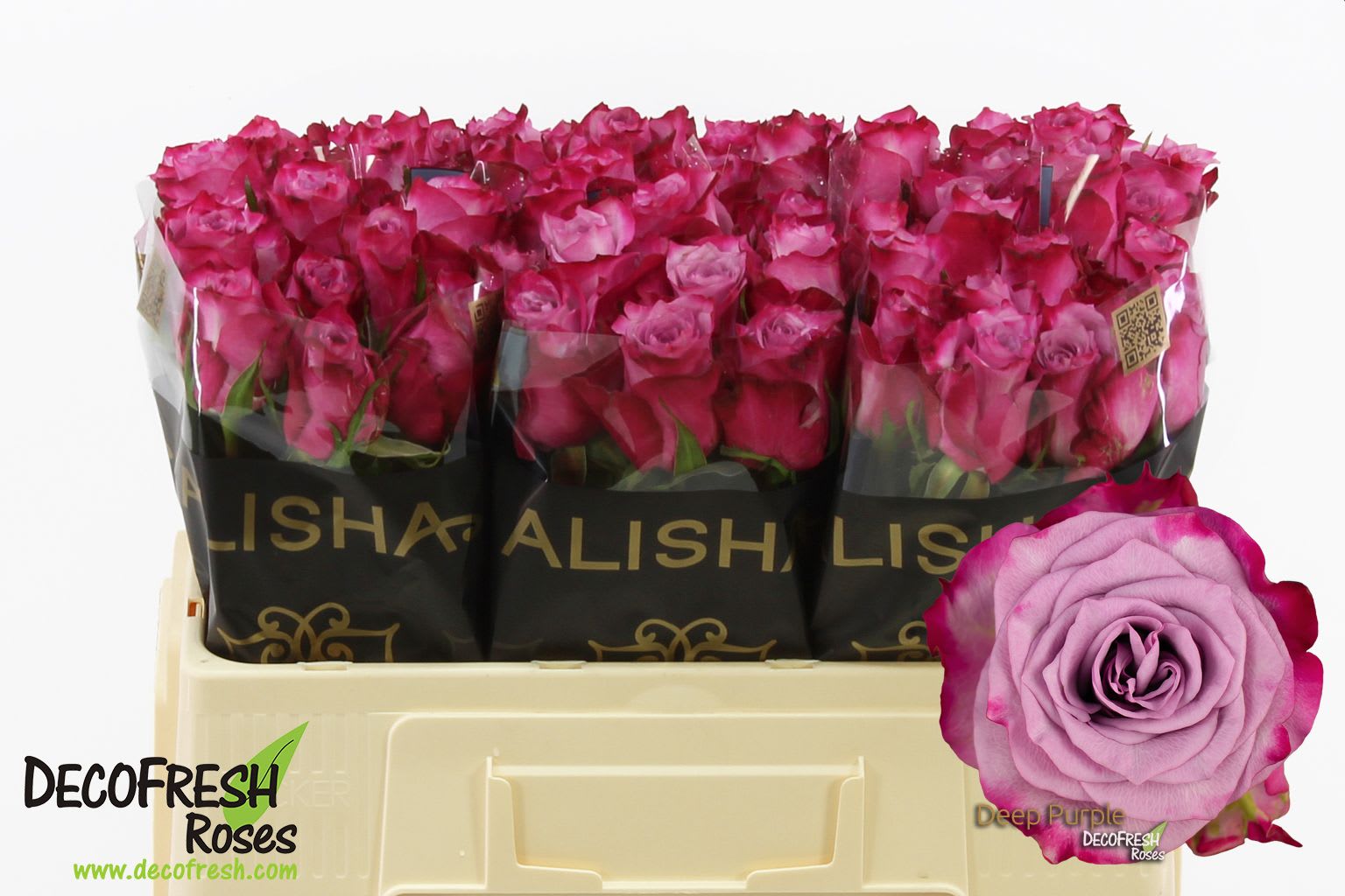 Срезанные цветы оптом Rosa large deep purple от 60шт из Голландии с доставкой по России