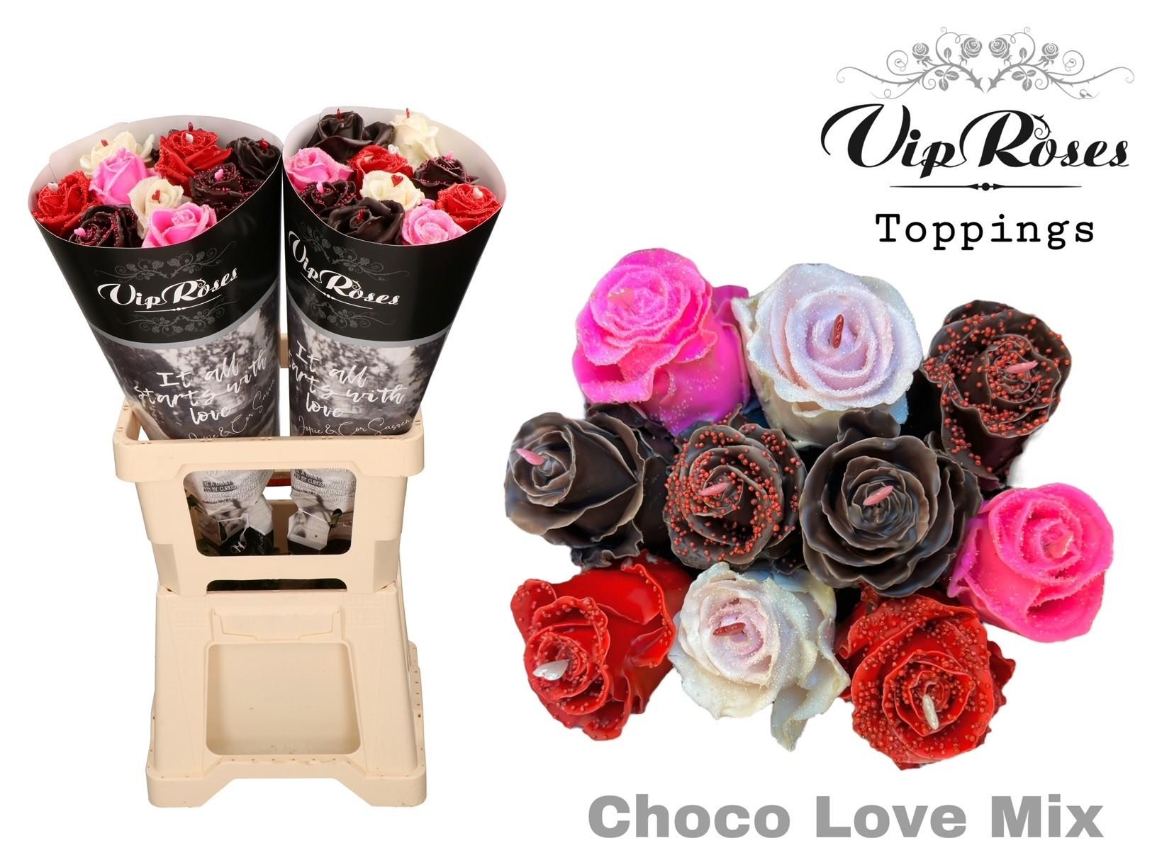 Срезанные цветы оптом Rosa large paint choco love mix от 20шт из Голландии с доставкой по России