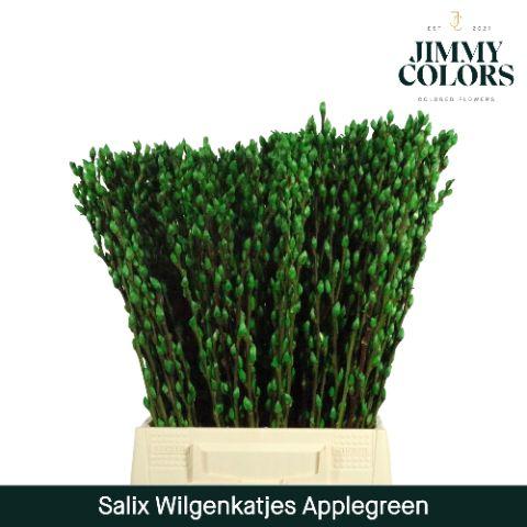 Срезанные цветы оптом Salix paint pussy willow applegreen от 50шт из Голландии с доставкой по России