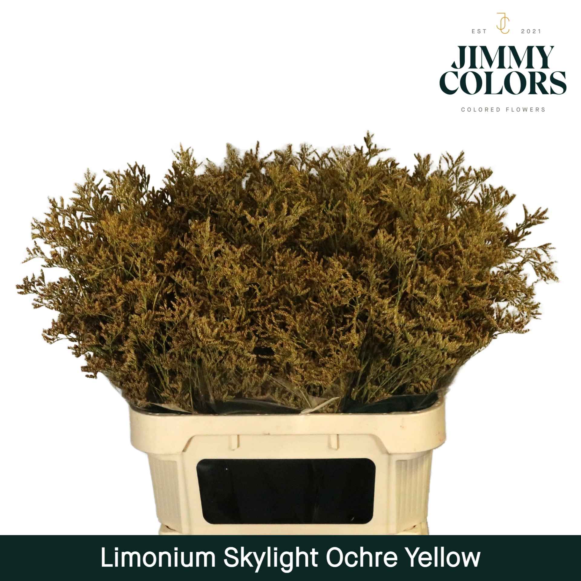 Срезанные цветы оптом Limonium paint ocher yellow от 25шт из Голландии с доставкой по России