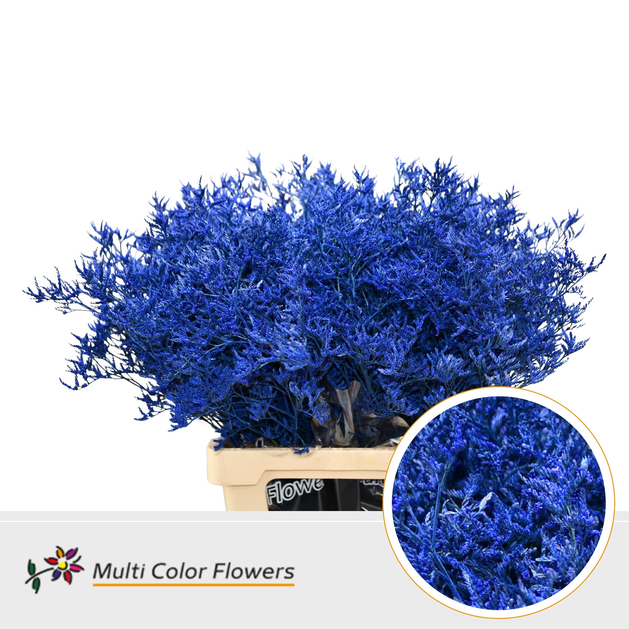 Срезанные цветы оптом Limonium paint blue dark от 50шт из Голландии с доставкой по России