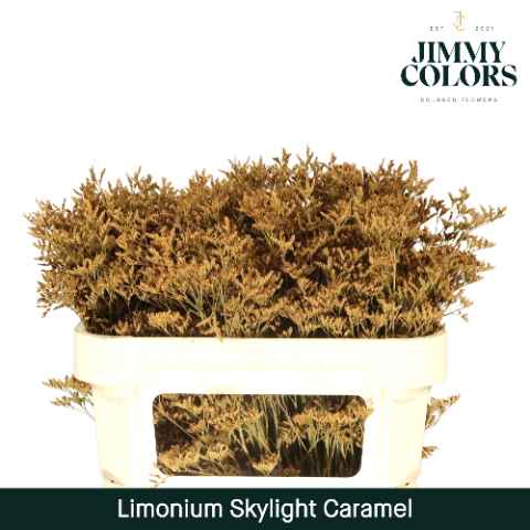 Срезанные цветы оптом Limonium paint caramel от 75шт из Голландии с доставкой по России