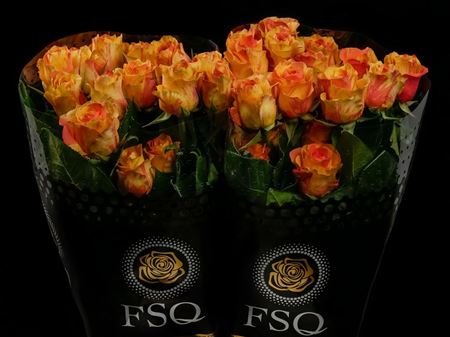 Срезанные цветы оптом Rosa ec butterfly от 40шт из Голландии с доставкой по России