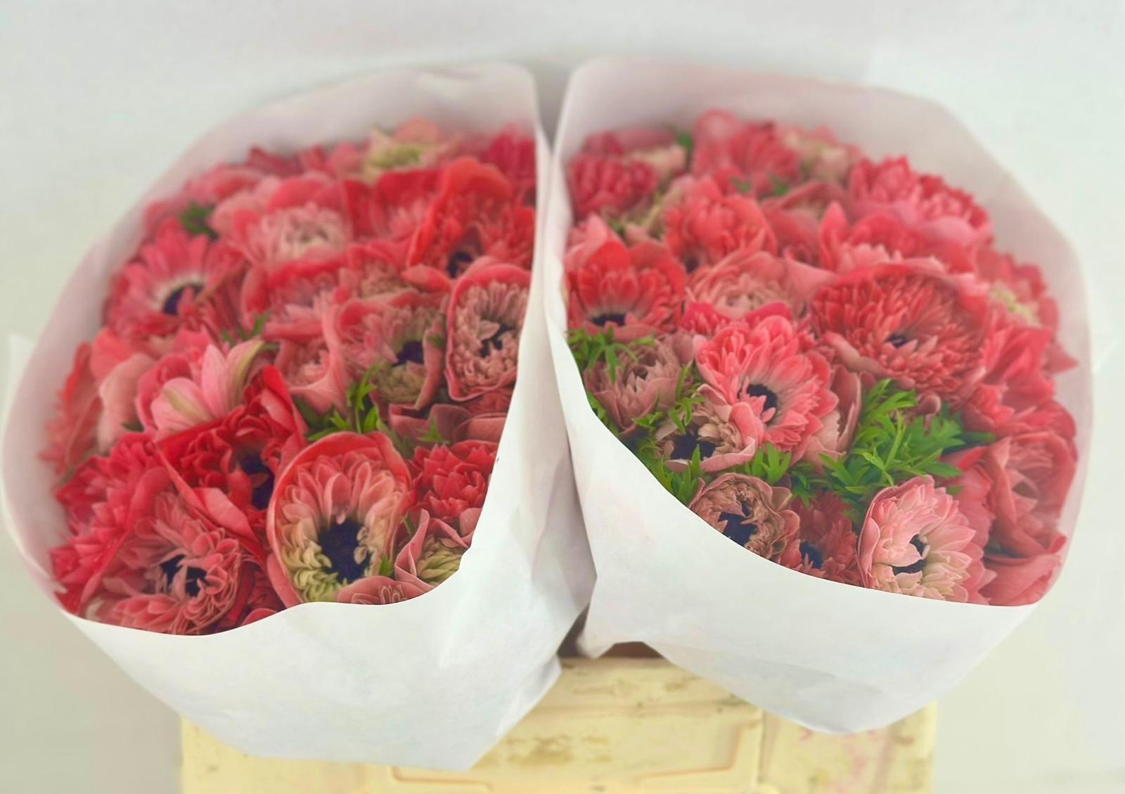 Срезанные цветы оптом Anemone levante rosa от 100шт из Голландии с доставкой по России