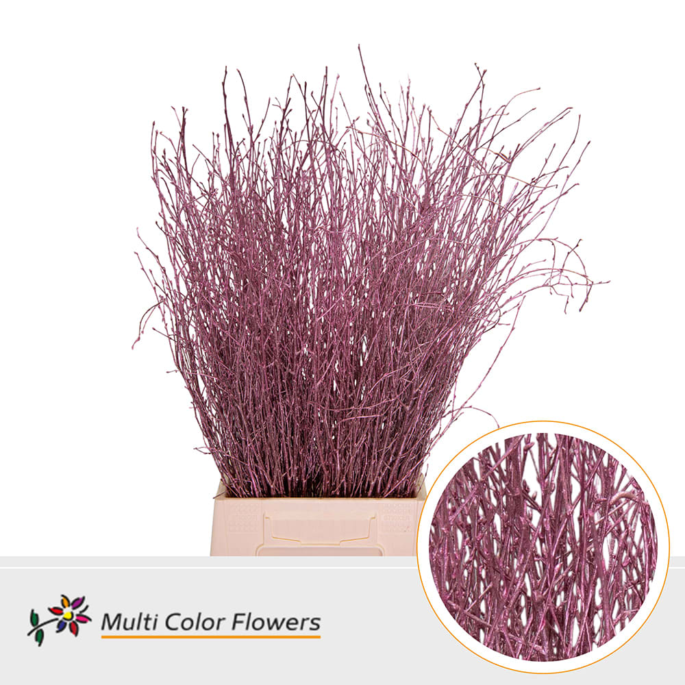 Срезанные цветы оптом Betula paint metallic pink от 100шт из Голландии с доставкой по России