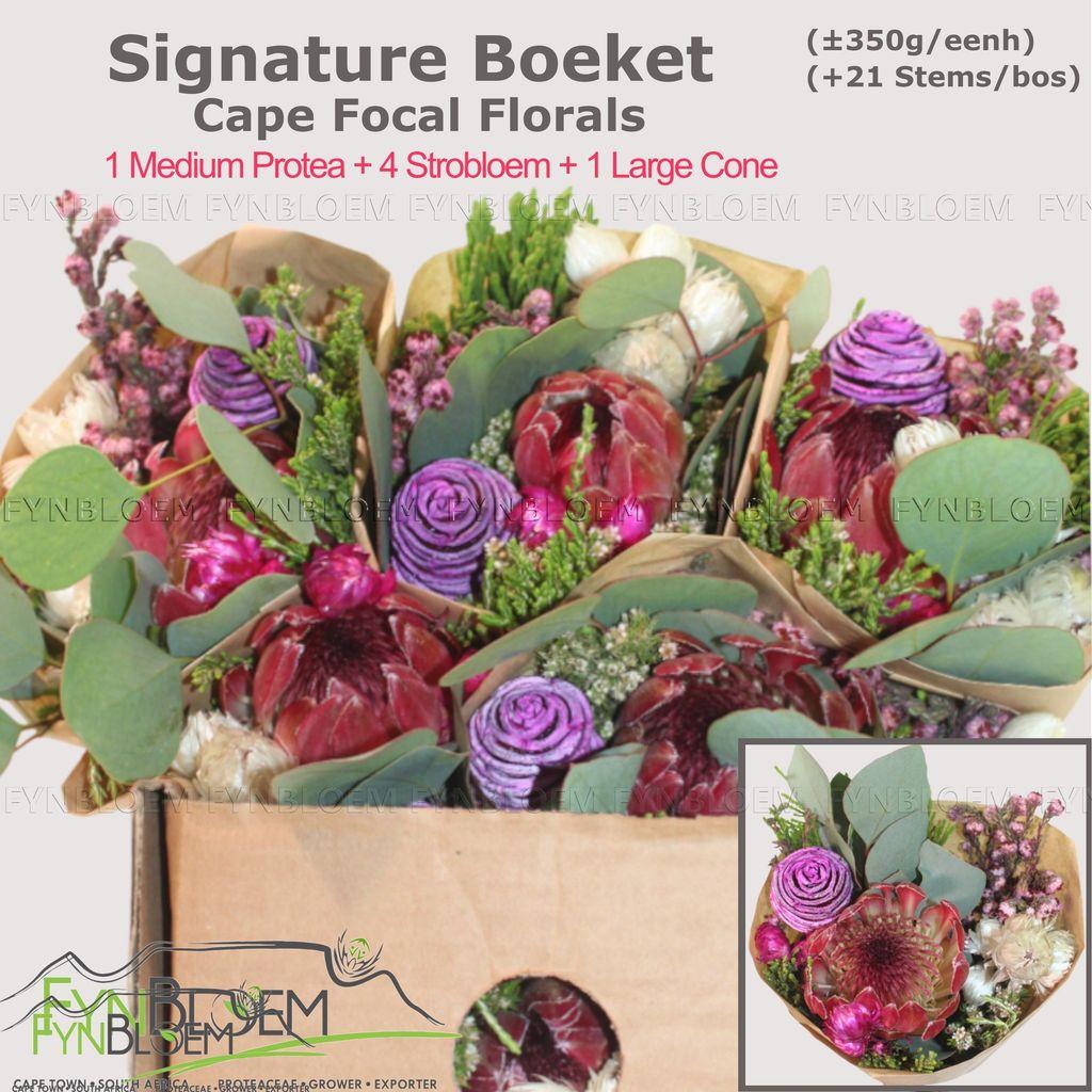 Срезанные цветы оптом Protea bq signature 1 protea 4 strobloem от 10шт из Голландии с доставкой по России