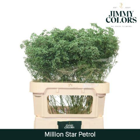 Срезанные цветы оптом Gyps fine paint petrol от 50шт из Голландии с доставкой по России