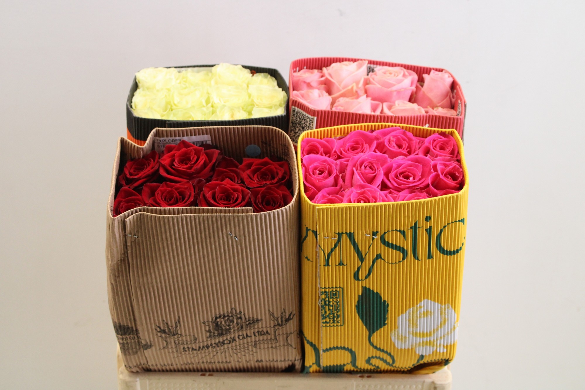 Срезанные цветы оптом Rosa ec mix in bucket от 100шт из Голландии с доставкой по России