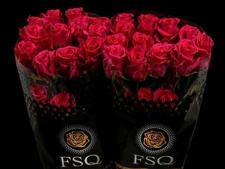 Срезанные цветы оптом Rosa ec gotcha от 60шт из Голландии с доставкой по России