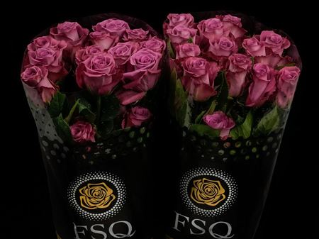 Срезанные цветы оптом Rosa ec piacere от 40шт из Голландии с доставкой по России