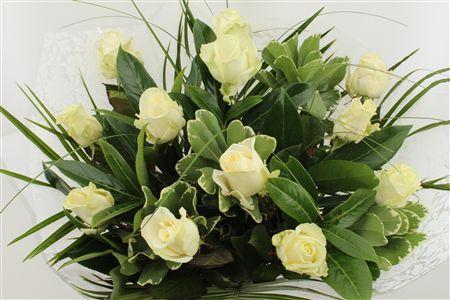 Срезанные цветы оптом Bouquet rosa white 12 от 3шт из Голландии с доставкой по России