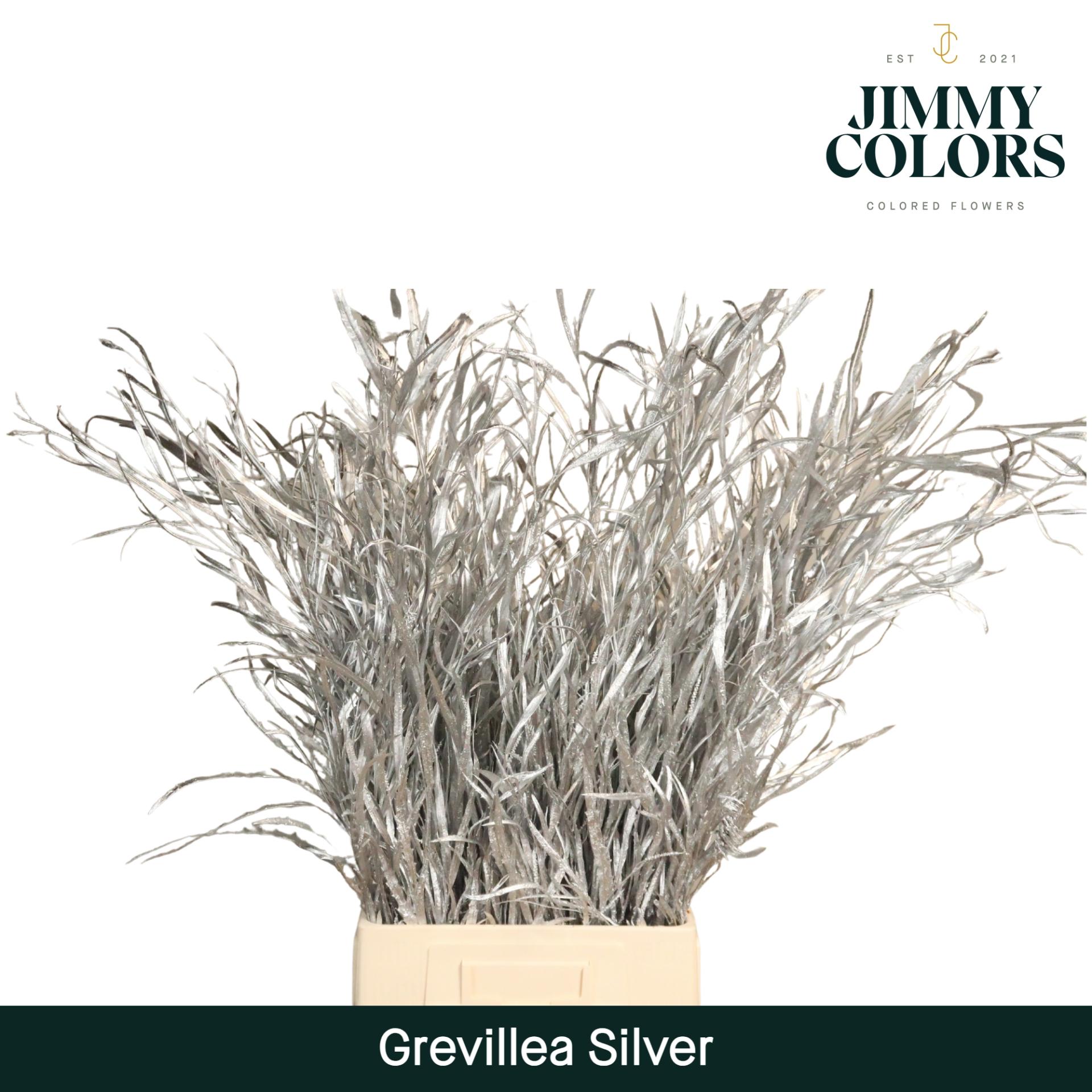 Срезанные цветы оптом Grevillea paint silver от 10шт из Голландии с доставкой по России