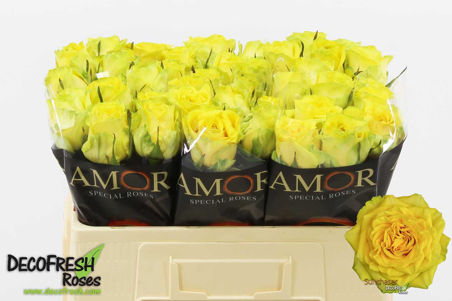 Срезанные цветы оптом Rosa large sunchaser от 50шт из Голландии с доставкой по России