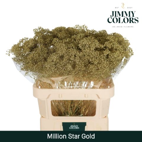 Срезанные цветы оптом Gyps fine paint gold от 50шт из Голландии с доставкой по России