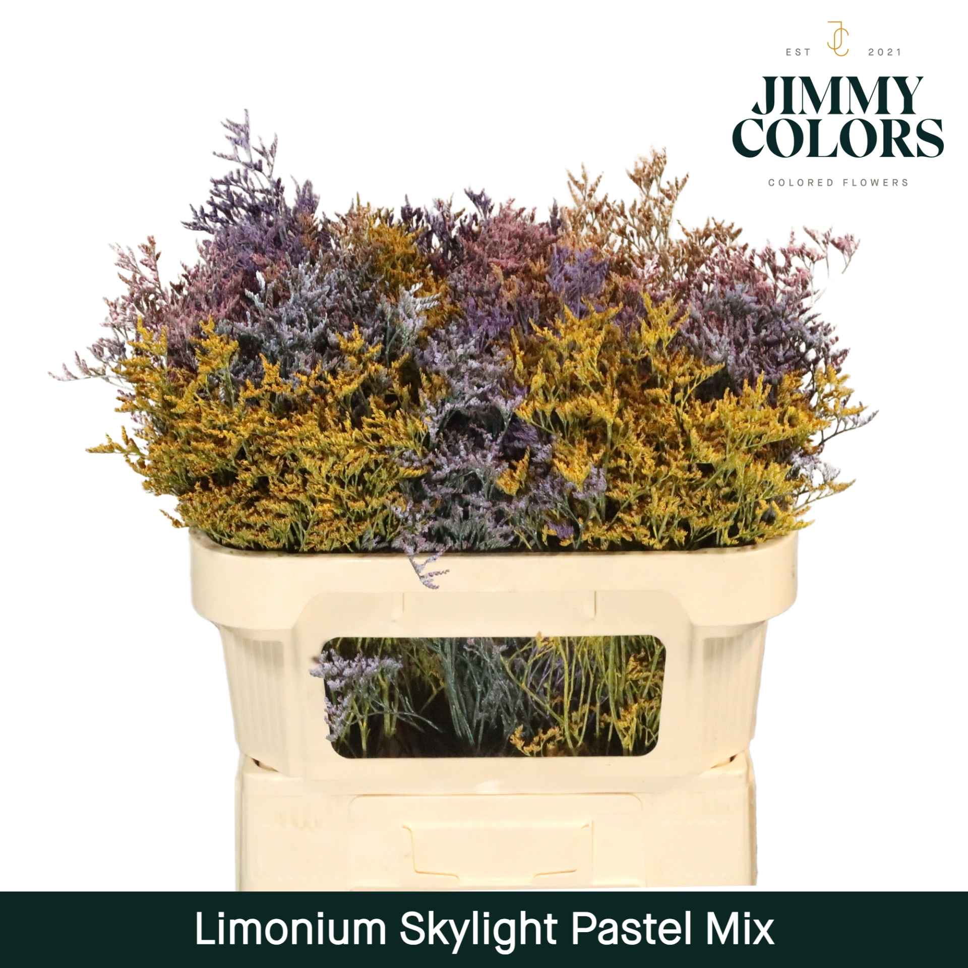 Срезанные цветы оптом Limonium paint mix pastel от 75шт из Голландии с доставкой по России