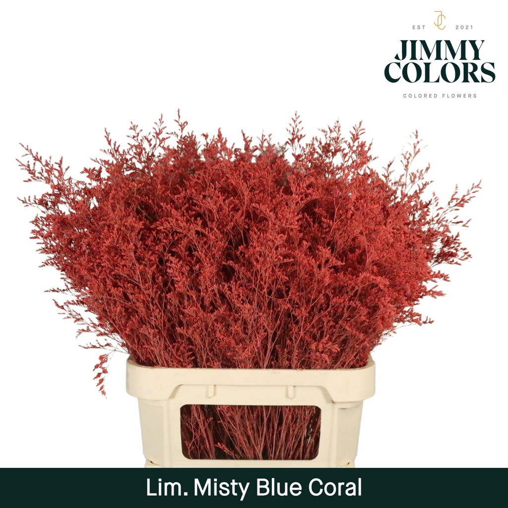 Срезанные цветы оптом Limonium misty blue paint coral от 50шт из Голландии с доставкой по России