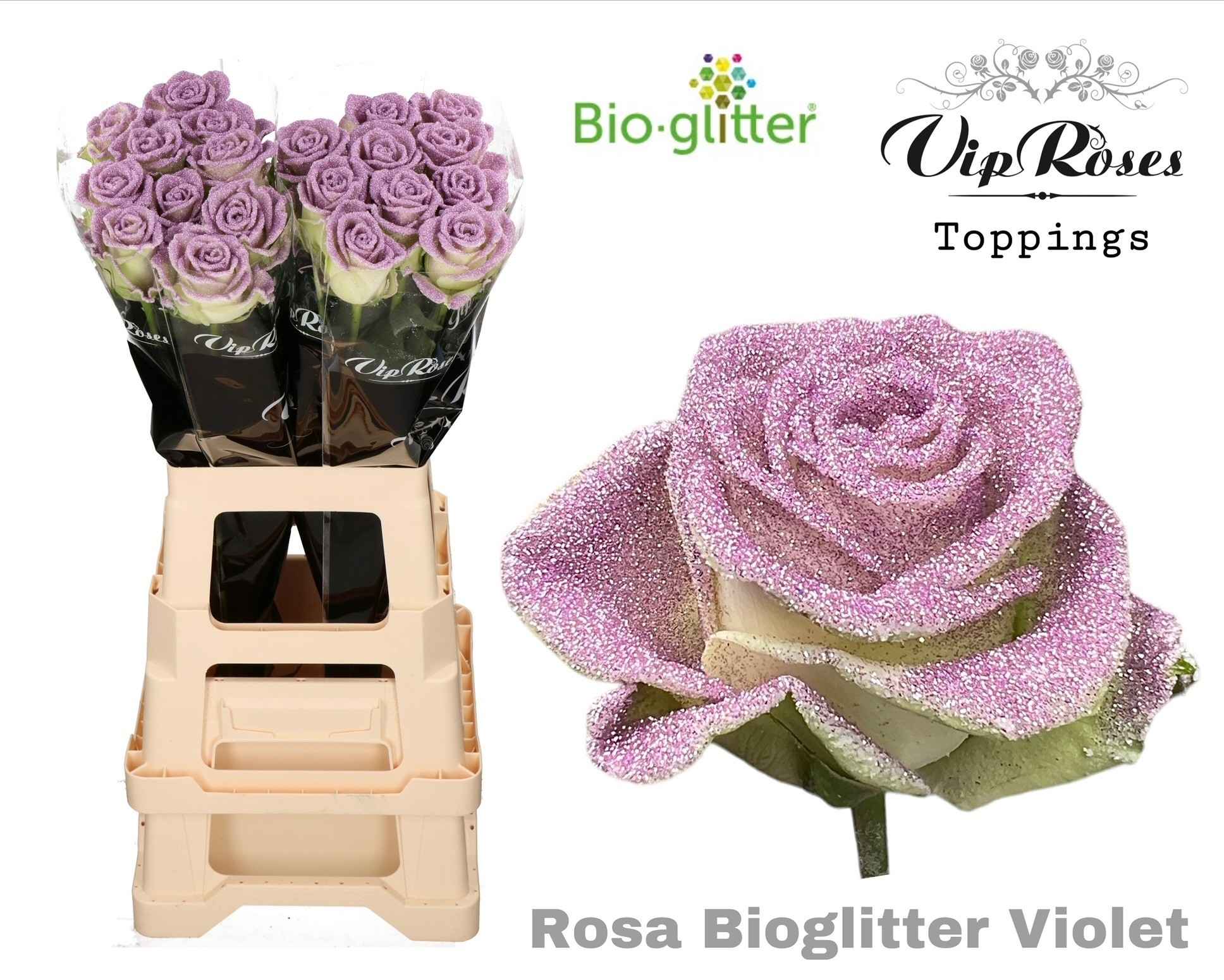 Срезанные цветы оптом Rosa la paint glitter violet от 20шт из Голландии с доставкой по России