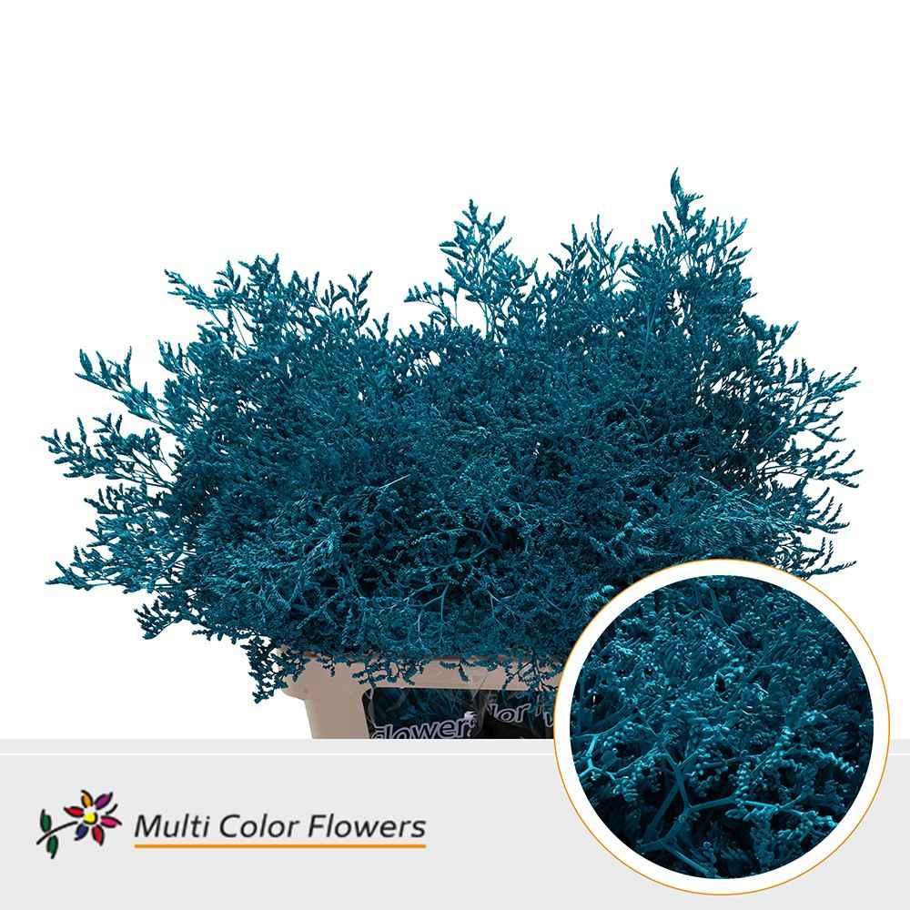 Срезанные цветы оптом Limonium paint turquoise от 50шт из Голландии с доставкой по России