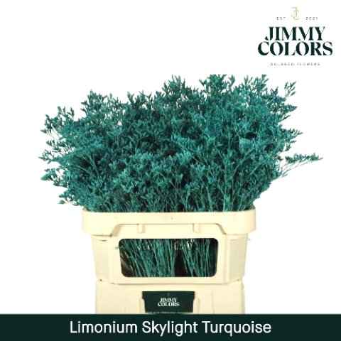 Срезанные цветы оптом Limonium skylight paint turquoise от 75шт из Голландии с доставкой по России