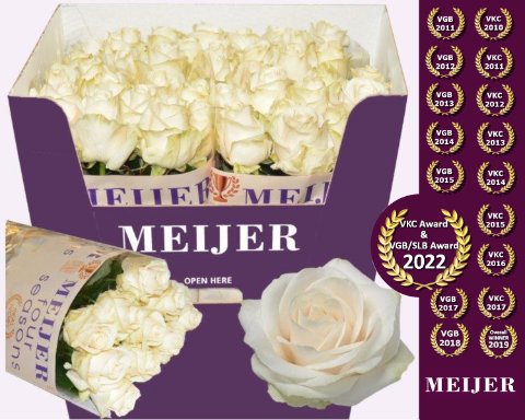 Срезанные цветы оптом Rosa large four seasons+ от 40шт из Голландии с доставкой по России