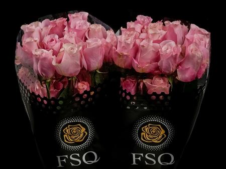 Срезанные цветы оптом Rosa ec secret garden от 40шт. из Голландии с доставкой по России