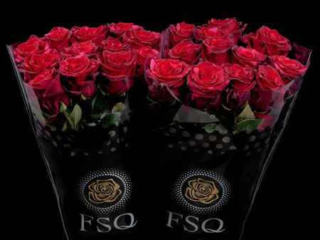 Срезанные цветы оптом Rosa la red panther от 40шт из Голландии с доставкой по России