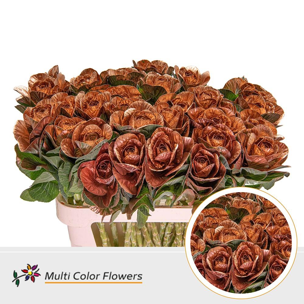 Срезанные цветы оптом Brassica paint copper от 30шт из Голландии с доставкой по России