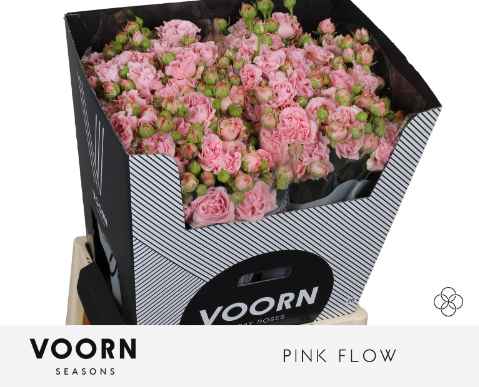 Срезанные цветы оптом Rosa sp pink flow от 20шт из Голландии с доставкой по России
