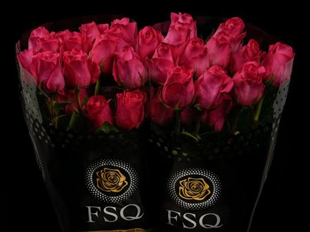 Срезанные цветы оптом Rosa ec pink floyd от 40шт из Голландии с доставкой по России
