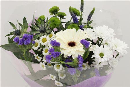Срезанные цветы оптом Bouquet 5-7 stem blue от 10шт из Голландии с доставкой по России