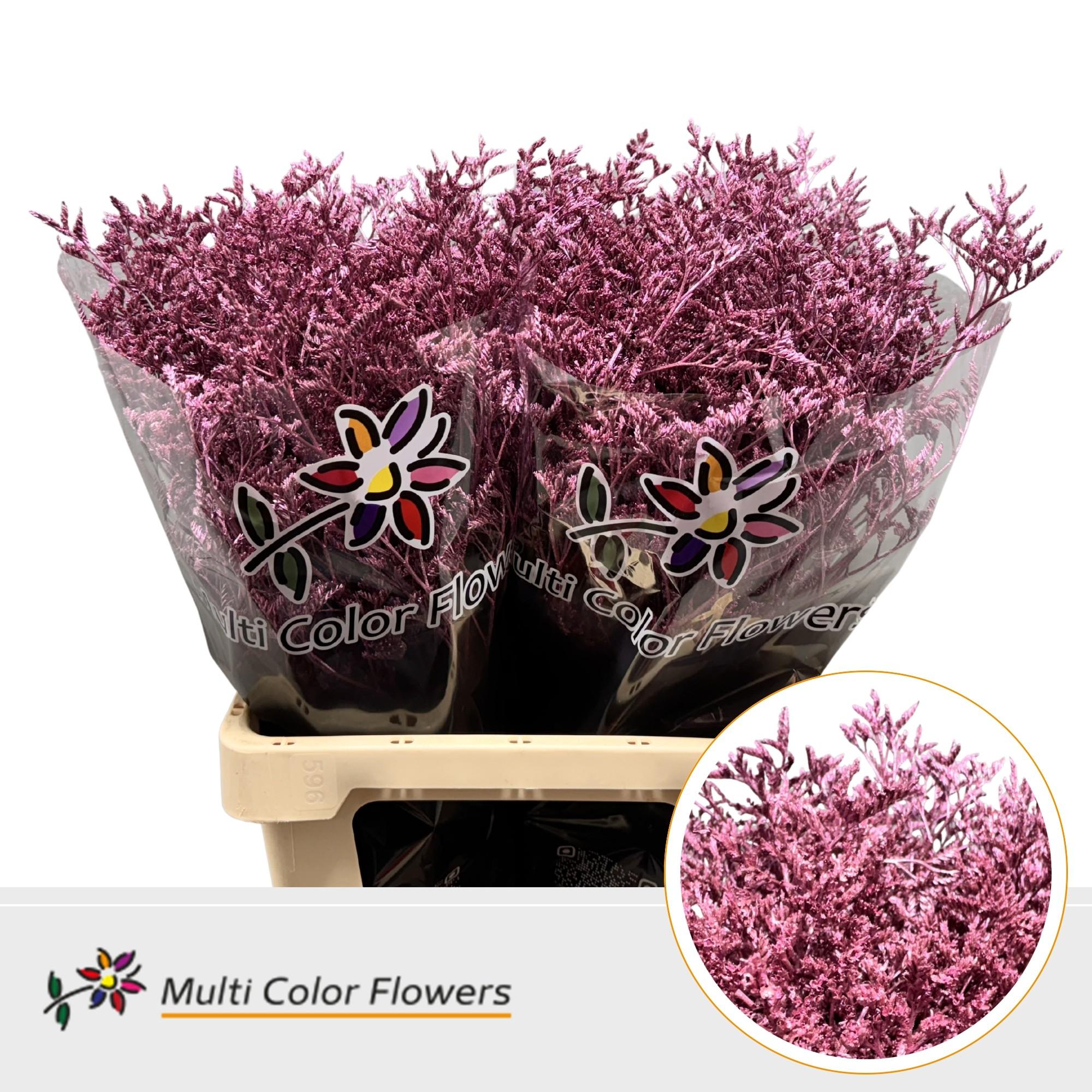 Срезанные цветы оптом Limonium paint metallic pink от 50шт из Голландии с доставкой по России