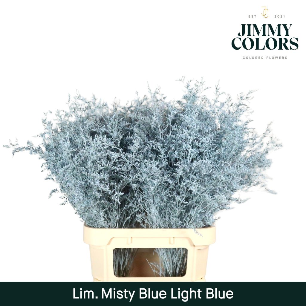 Срезанные цветы оптом Limonium misty blue paint blue light от 50шт из Голландии с доставкой по России