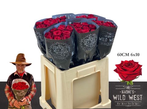 Срезанные цветы оптом Rosa large red naomi! Wild West от 60шт из Голландии с доставкой по России