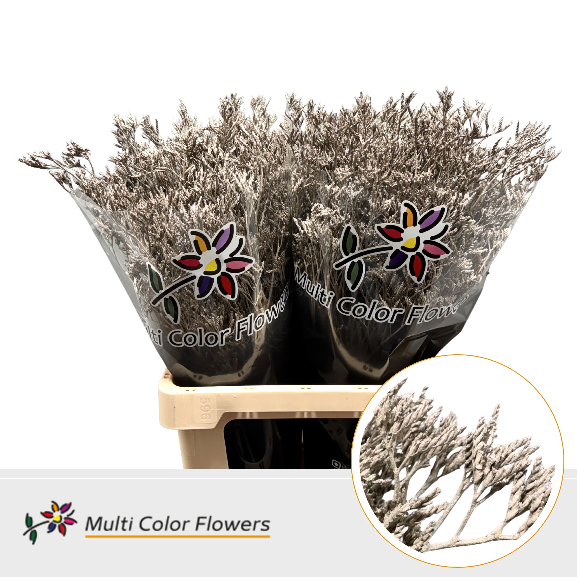 Срезанные цветы оптом Limonium paint metallic beige от 50шт из Голландии с доставкой по России