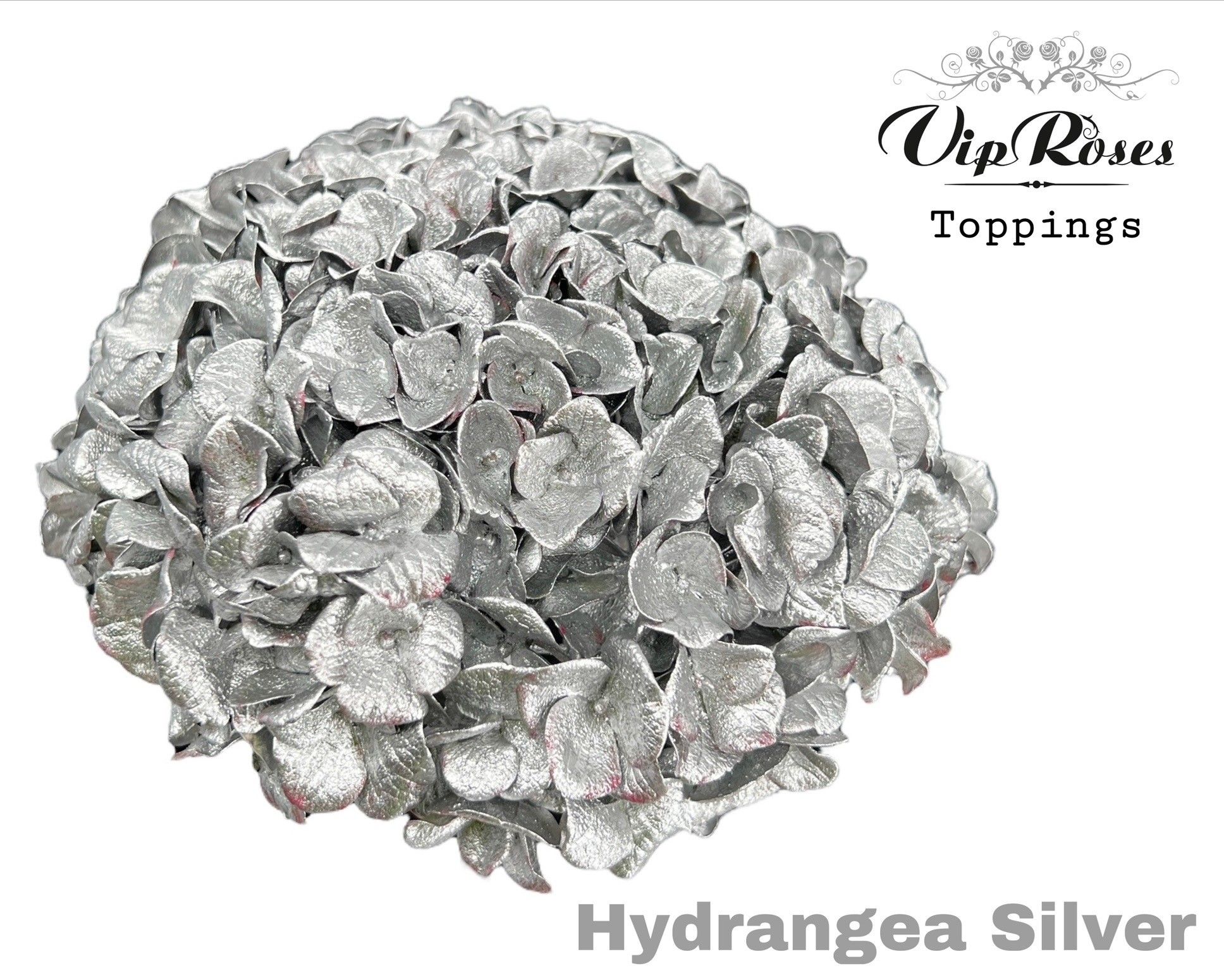 Срезанные цветы оптом Hydrangea paint silver от 10шт из Голландии с доставкой по России