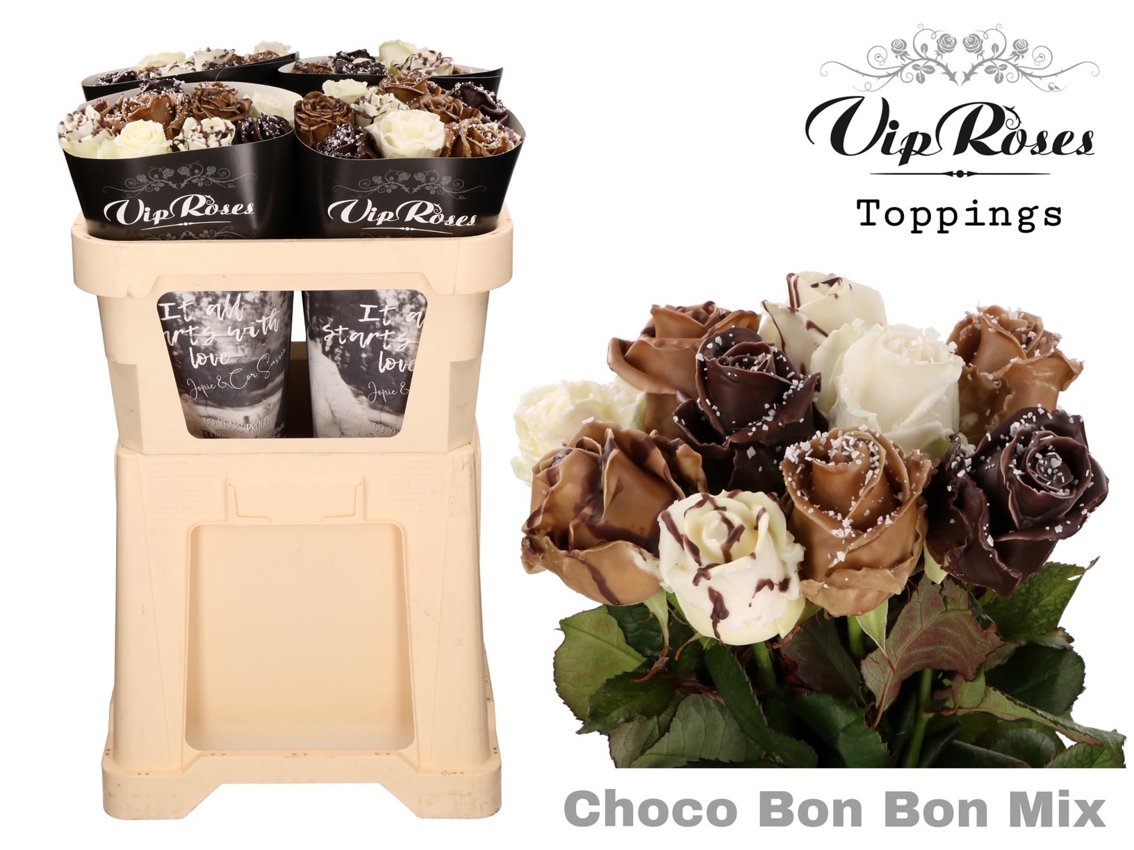 Срезанные цветы оптом Rosa large paint choco bonbon mix от 40шт. из Голландии с доставкой по России