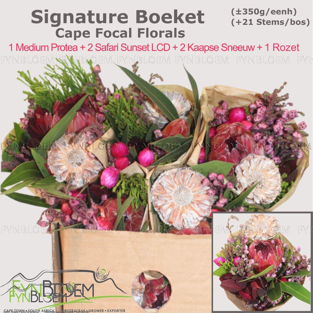 Срезанные цветы оптом Protea bq signature 1 medium protea 2 safari от 10шт из Голландии с доставкой по России