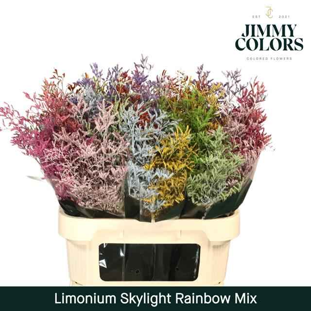 Срезанные цветы оптом Limonium paint mix rainbow (mixbunch) от 25шт из Голландии с доставкой по России