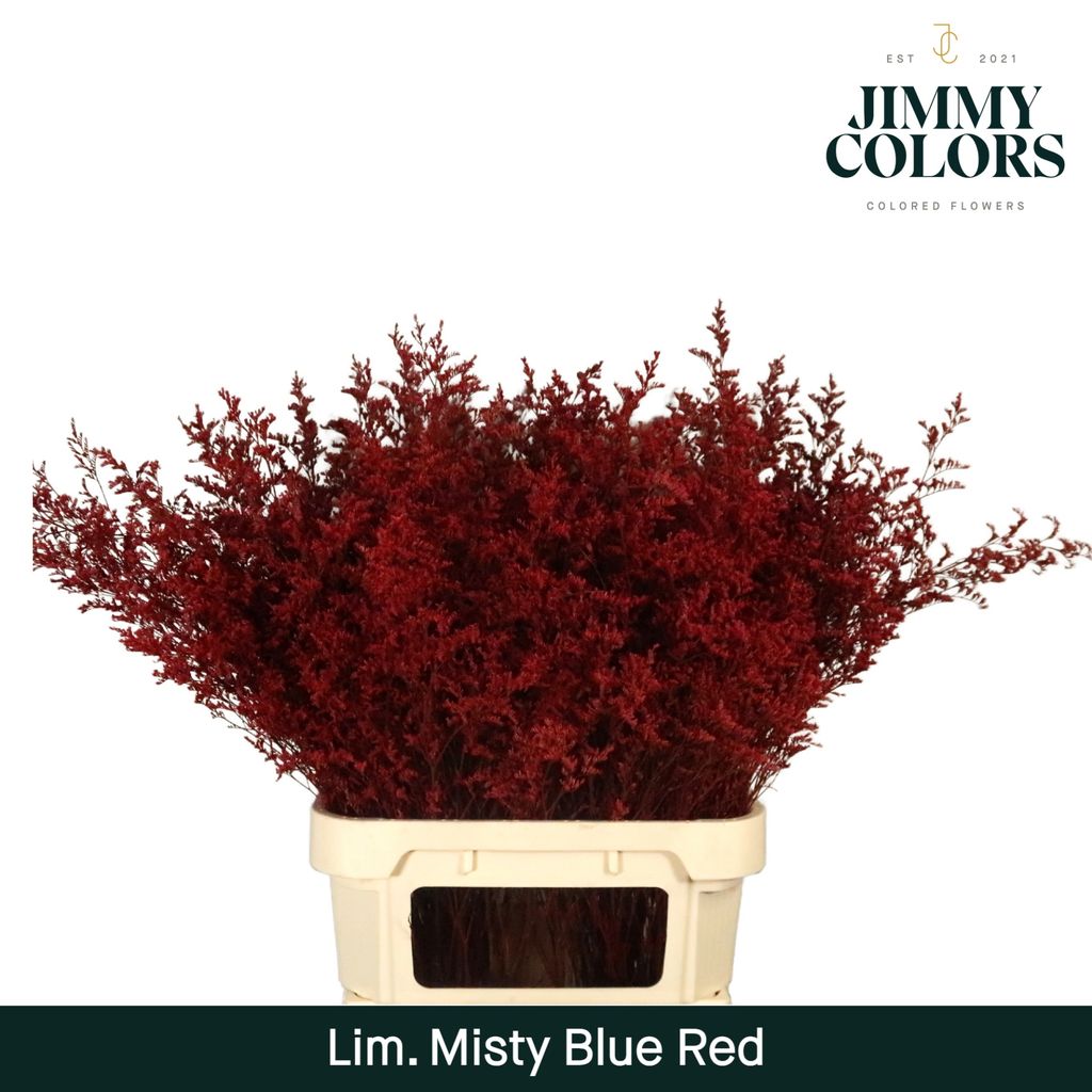 Срезанные цветы оптом Limonium misty blue paint red от 50шт из Голландии с доставкой по России